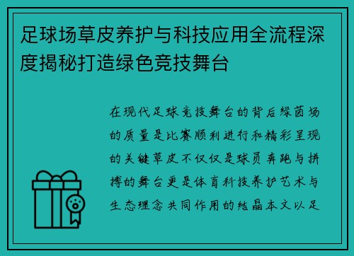 足球场草皮养护与科技应用全流程深度揭秘打造绿色竞技舞台